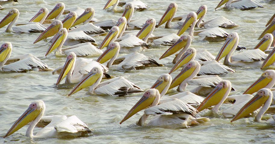 Random Geography. Part 148. Senegal. - Geography, Interesting, Travels, Random geography, Longpost, Senegal