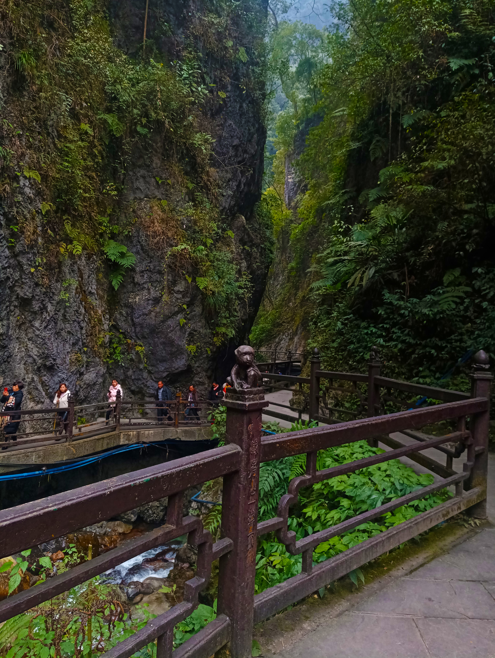 Travel in China. Sacred Mount Emeishan (Part One) - My, China, Travels, Nature, Reserve, Sichuan, UNESCO Heritage Site, Reportage, beauty, Longpost, Reserves and sanctuaries