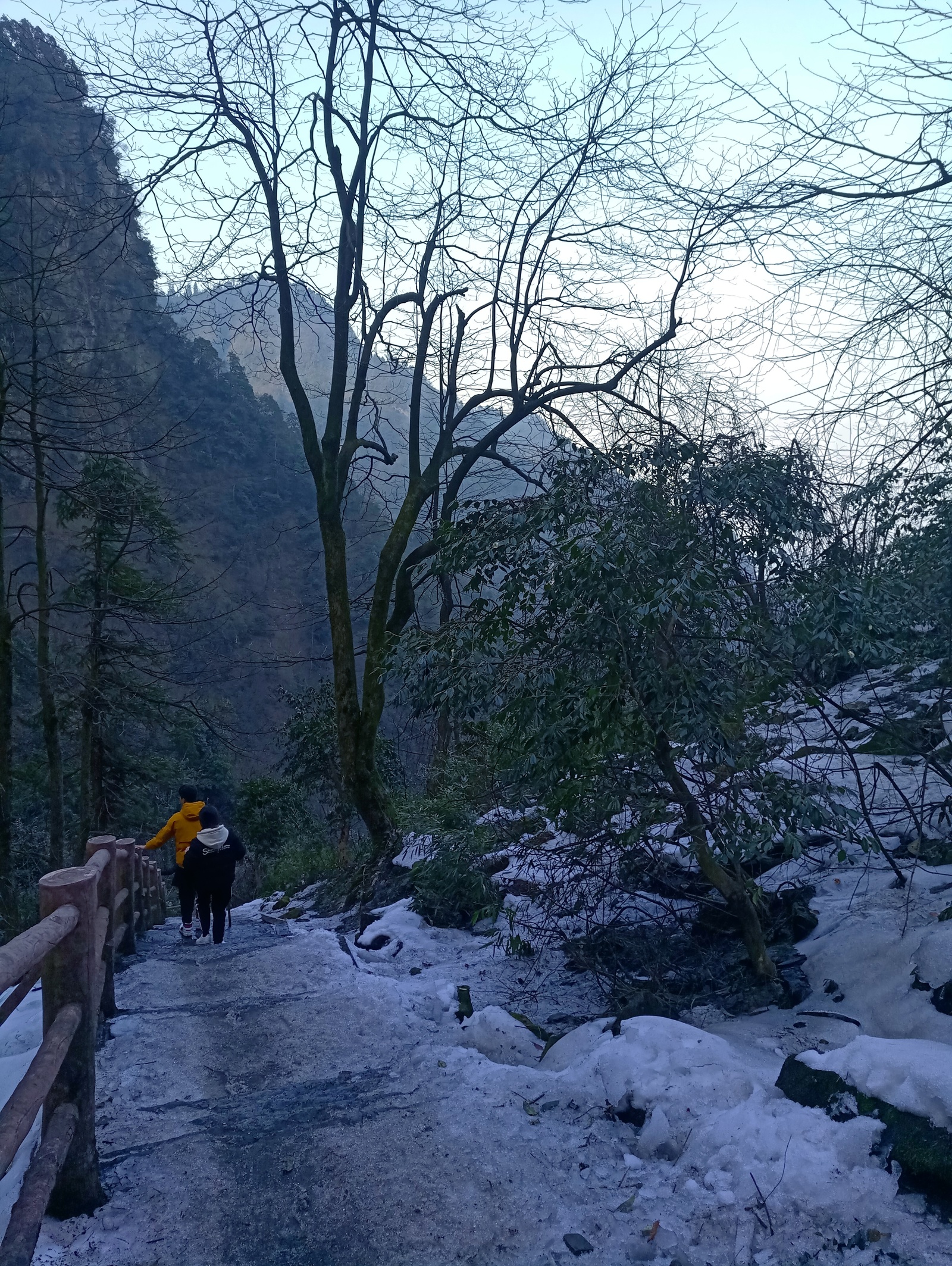 Travel in China. Sacred Mount Emeishan (Part One) - My, China, Travels, Nature, Reserve, Sichuan, UNESCO Heritage Site, Reportage, beauty, Longpost, Reserves and sanctuaries