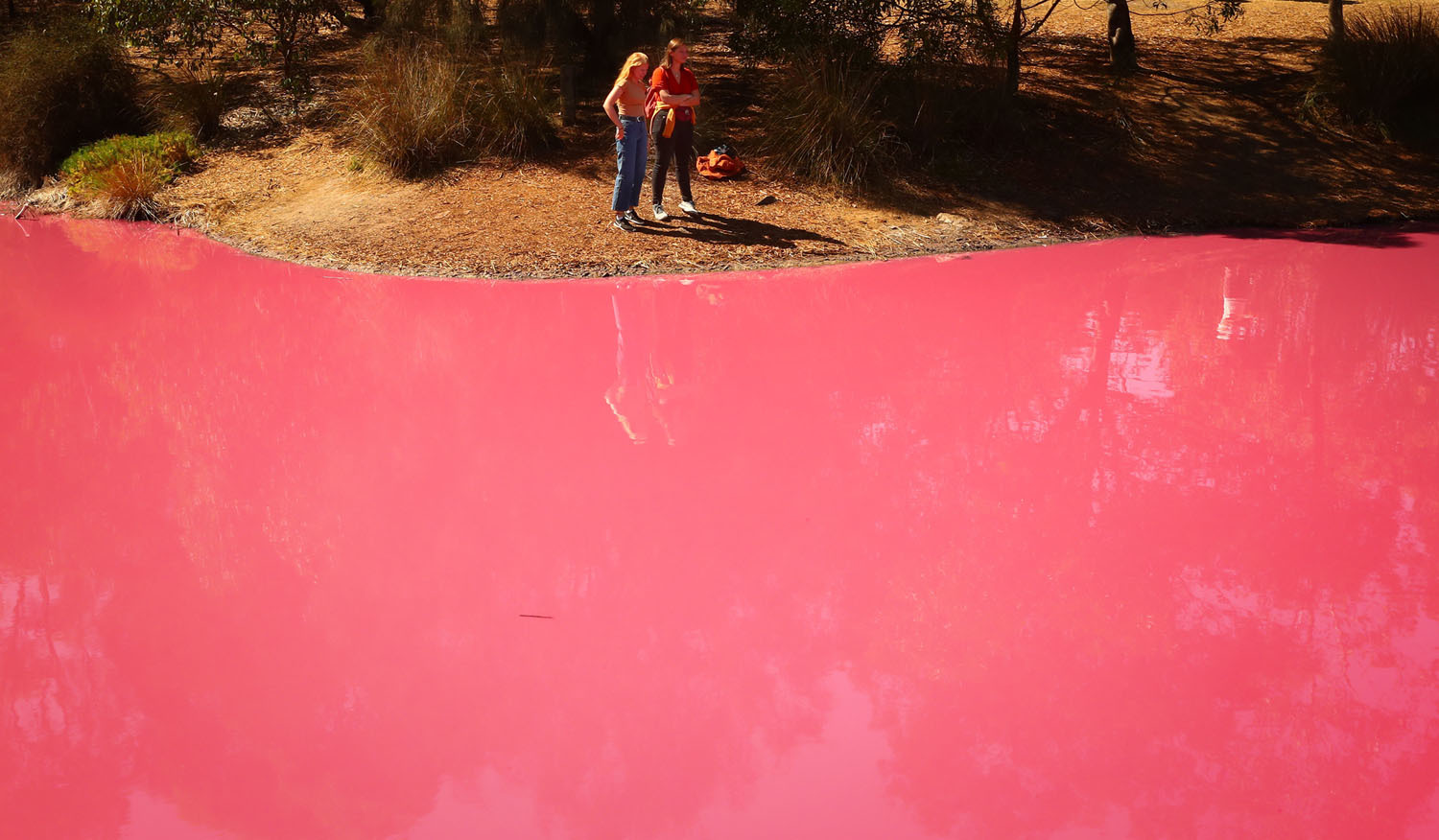 Pink lake. - Australia, Melbourne, Seaweed, Nature