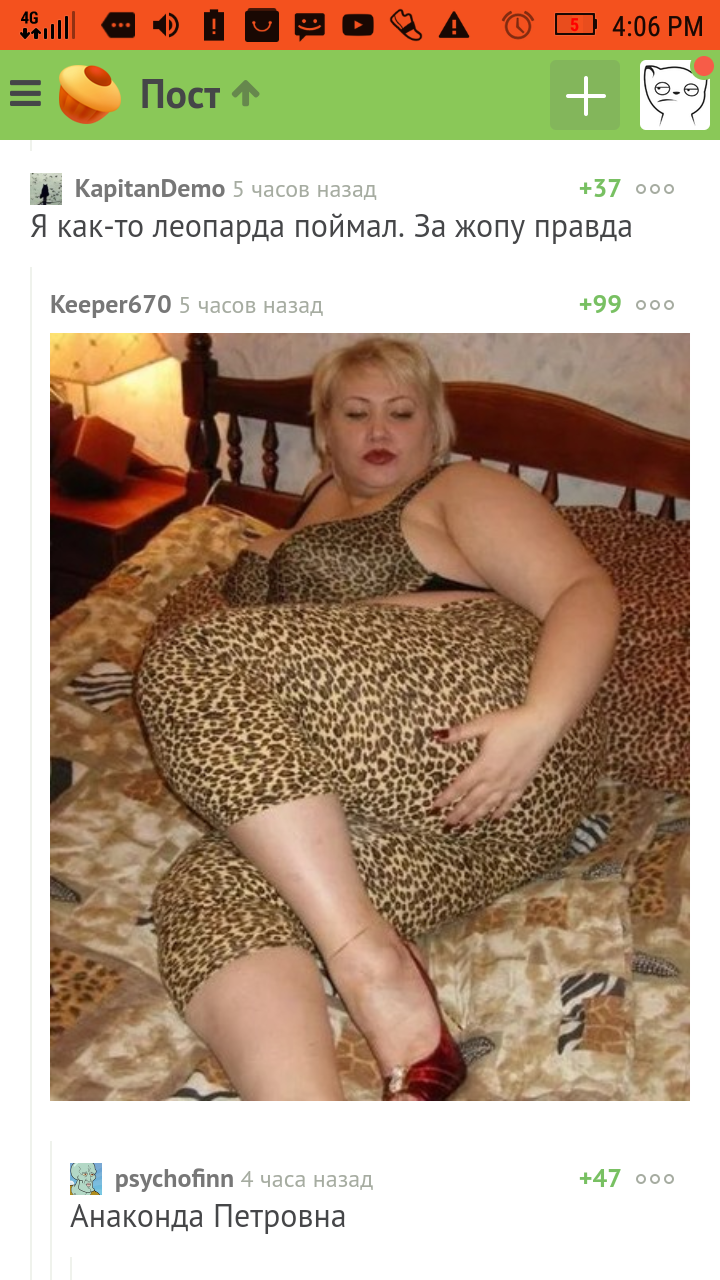 Anaconda Petrovna - Comments on Peekaboo, Screenshot, Leopard