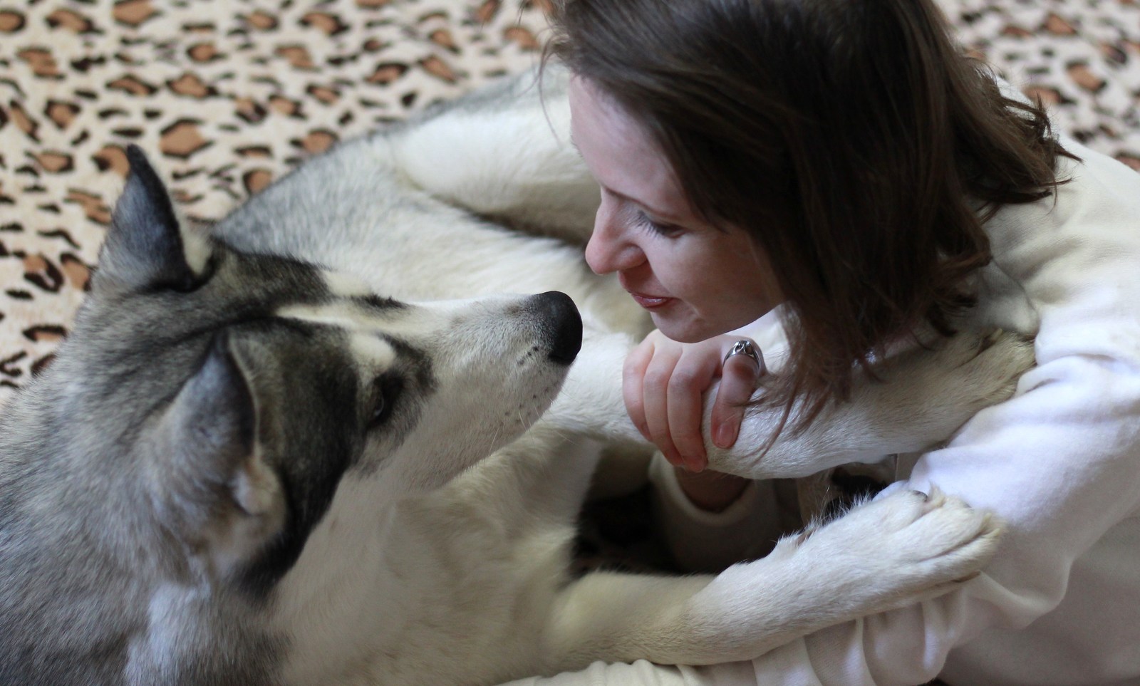 Husky is more than just a dog - My, Dog, Husky, Animals, Kindness, Milota, Friend of human, Longpost, Pets