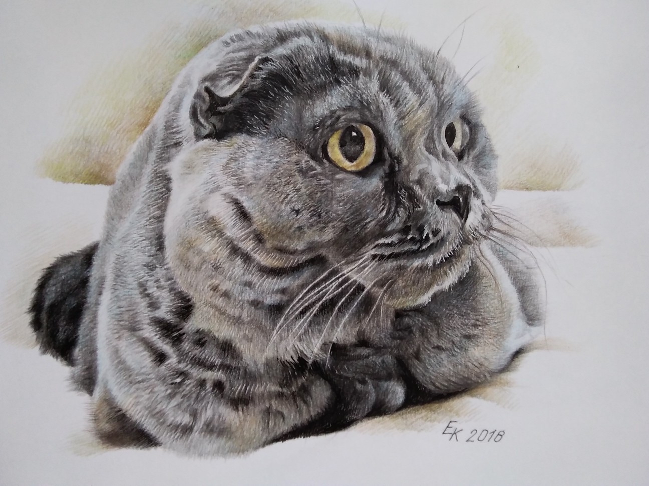 Greetings, dear members of the group! I draw in graphic technique with colored pencils. Part 1. - My, Portrait, cat, Drawing, Longpost