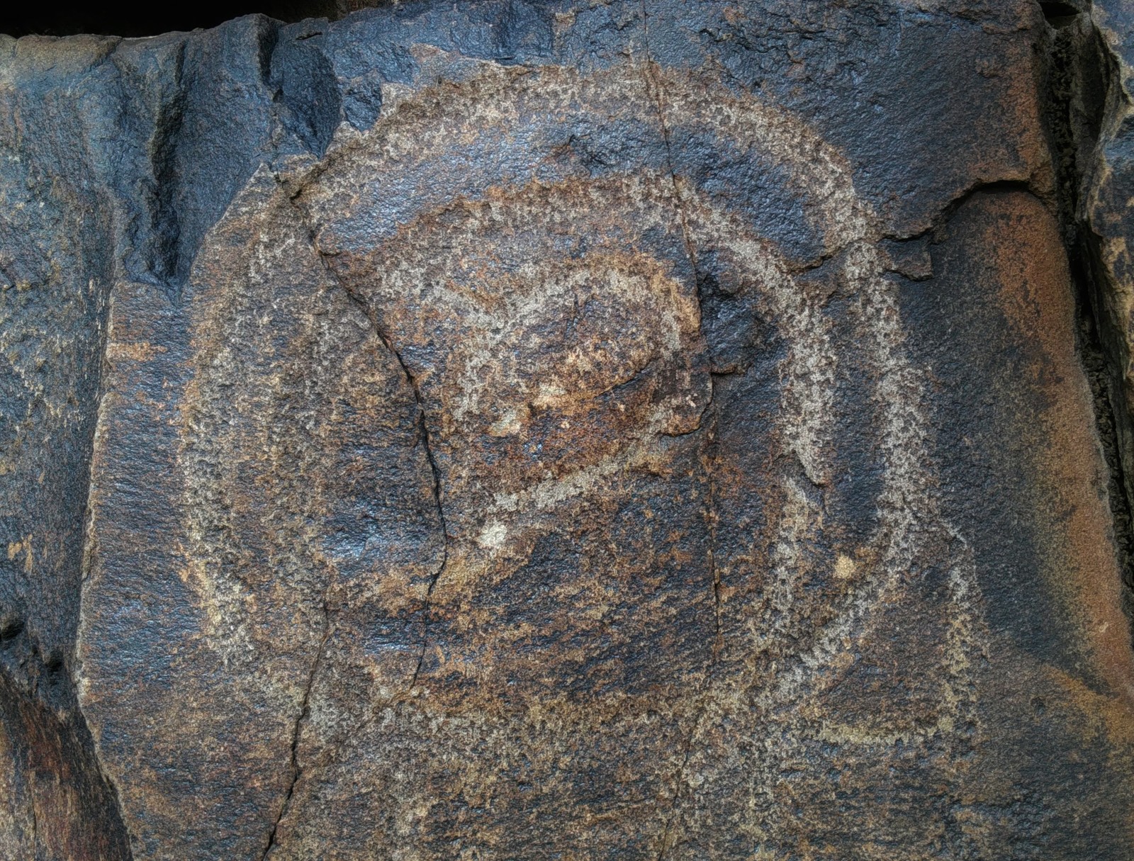 Rock painting of southern Kazakhstan - My, Petroglyphs, Rock painting, Kazakhstan, Taraz, Longpost