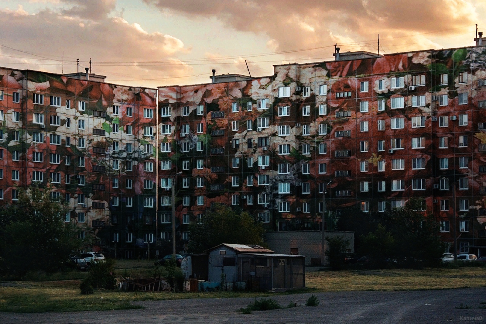 Цветами покрылись наши панельки | Пикабу