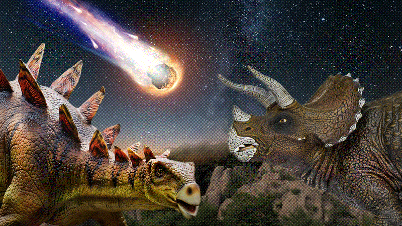 Paleontologists have learned how the last hour of the Mesozoic passed - My, Dinosaurs, Paleontology, Archeology, Longpost, Chicxulub, Meteorite