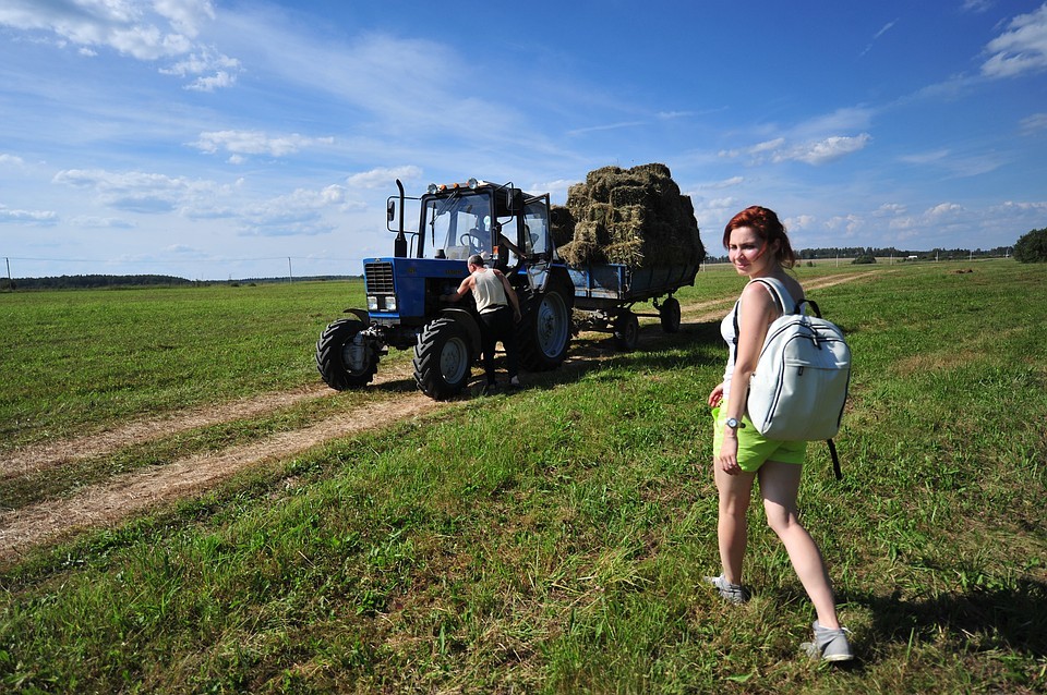 In the Leningrad region it will be possible to get up to ten hectares of land for free - Land, Leningrad region, Receiving, Сельское хозяйство, 