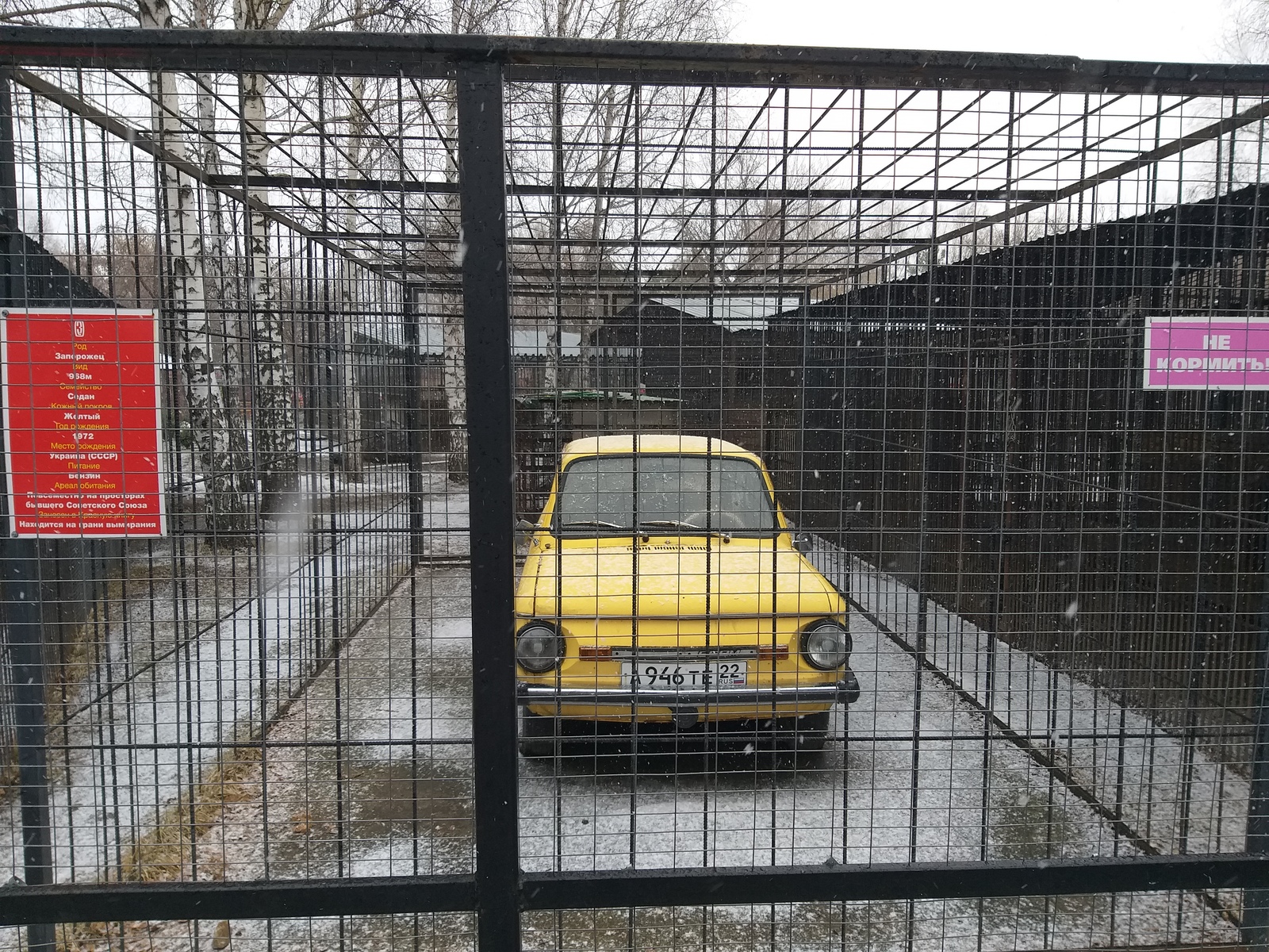 Endangered species - My, Zoo, Barnaul, Zaporozhets