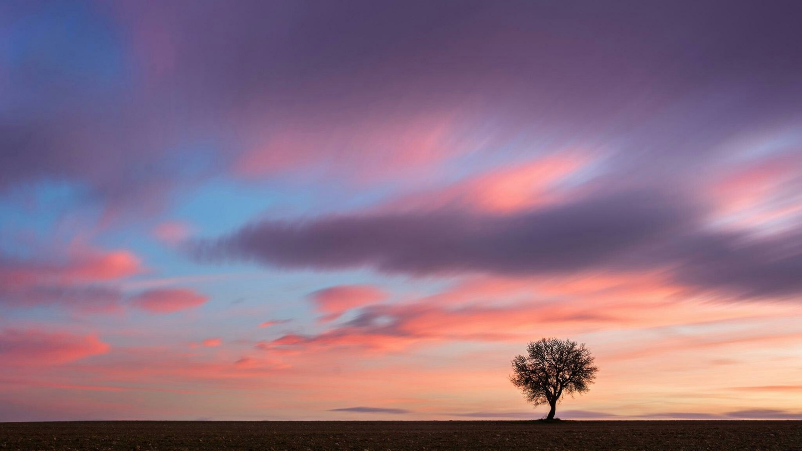 Lonely tree - The photo, Tree, Sunset, Nature, Clouds, Landscape, Sky