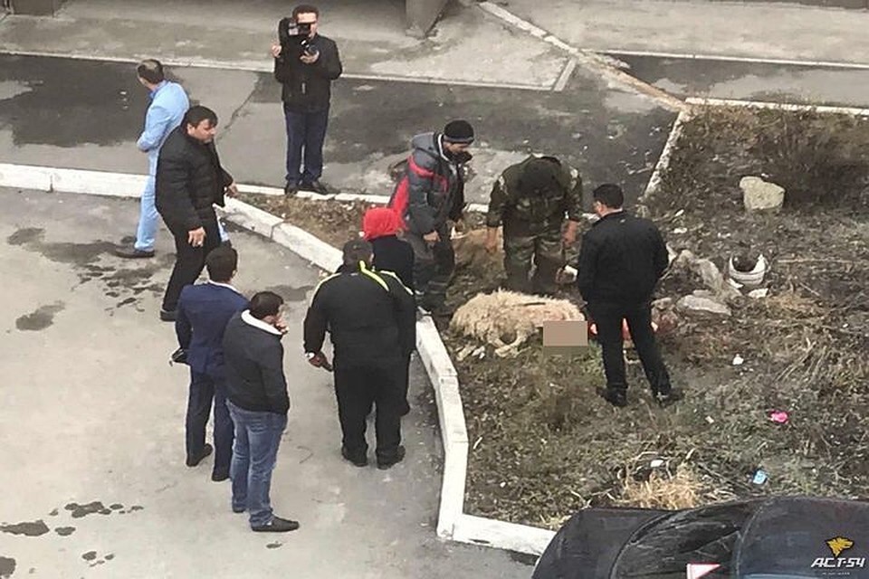 анальный осмотр онлайн слышал такого правда креатив…супер!
