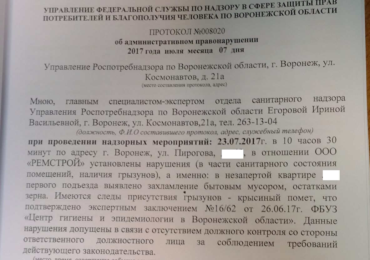 Чтобы выжить людей из дома, рейдер-застройщик развёл в квартире голубей и  крыс | Пикабу