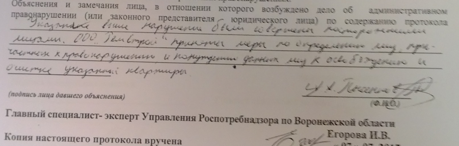 To survive people from the house, the raider developer bred pigeons and rats in the apartment - Rat, Pigeon, Apartment raiders, Longpost, No rating, Threat, Video, Negative, Voronezh