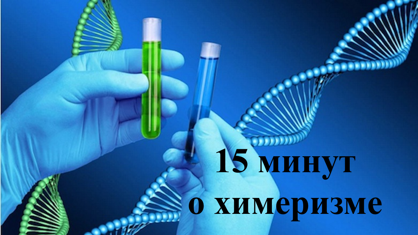 15 minutes about Chimerism - Nauchpop, , Chimera, Video, Genetic Engineering