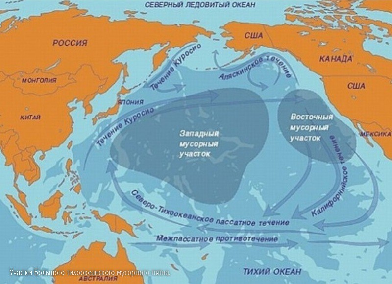 plastic in the ocean - My, That's how we live, Civilization, Ecology, Politics, A life