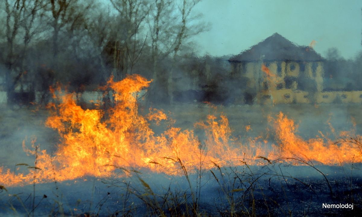 Herbal fires. Season in full swing - My, Fallen Grass, Voskresensk, Beginning photographer, Actual, Longpost