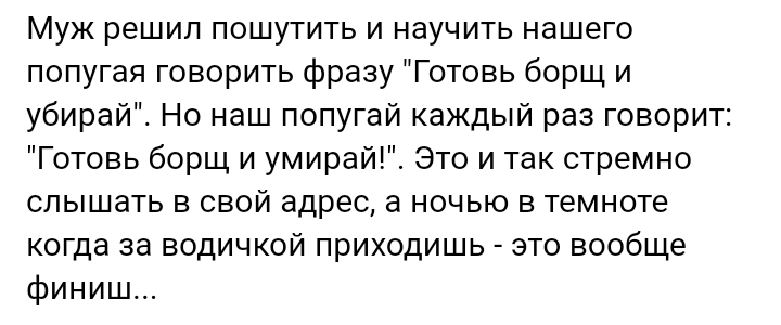 Как- то так 365... - Исследователи форумов, Скриншот, Подборка, ВКонтакте, Всякая чушь, Как-То так, Staruxa111, Длиннопост, Чушь