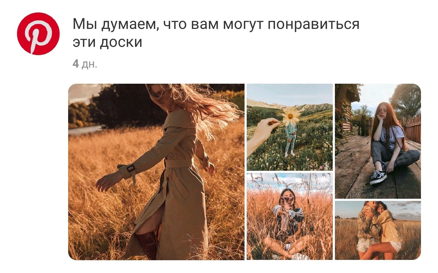 Когда приложение умеет оскорблять - Фотография, Приложение