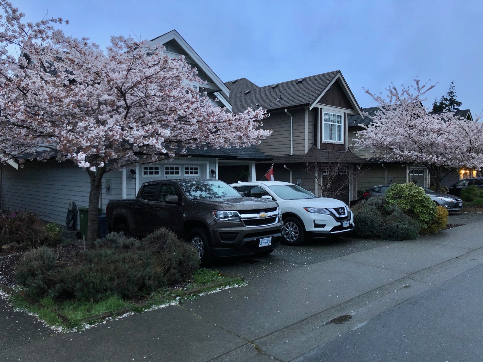 Evening walk after the rain - My, Canada, House, Road, Town, Spring, Evening, Lamp, The street, Longpost