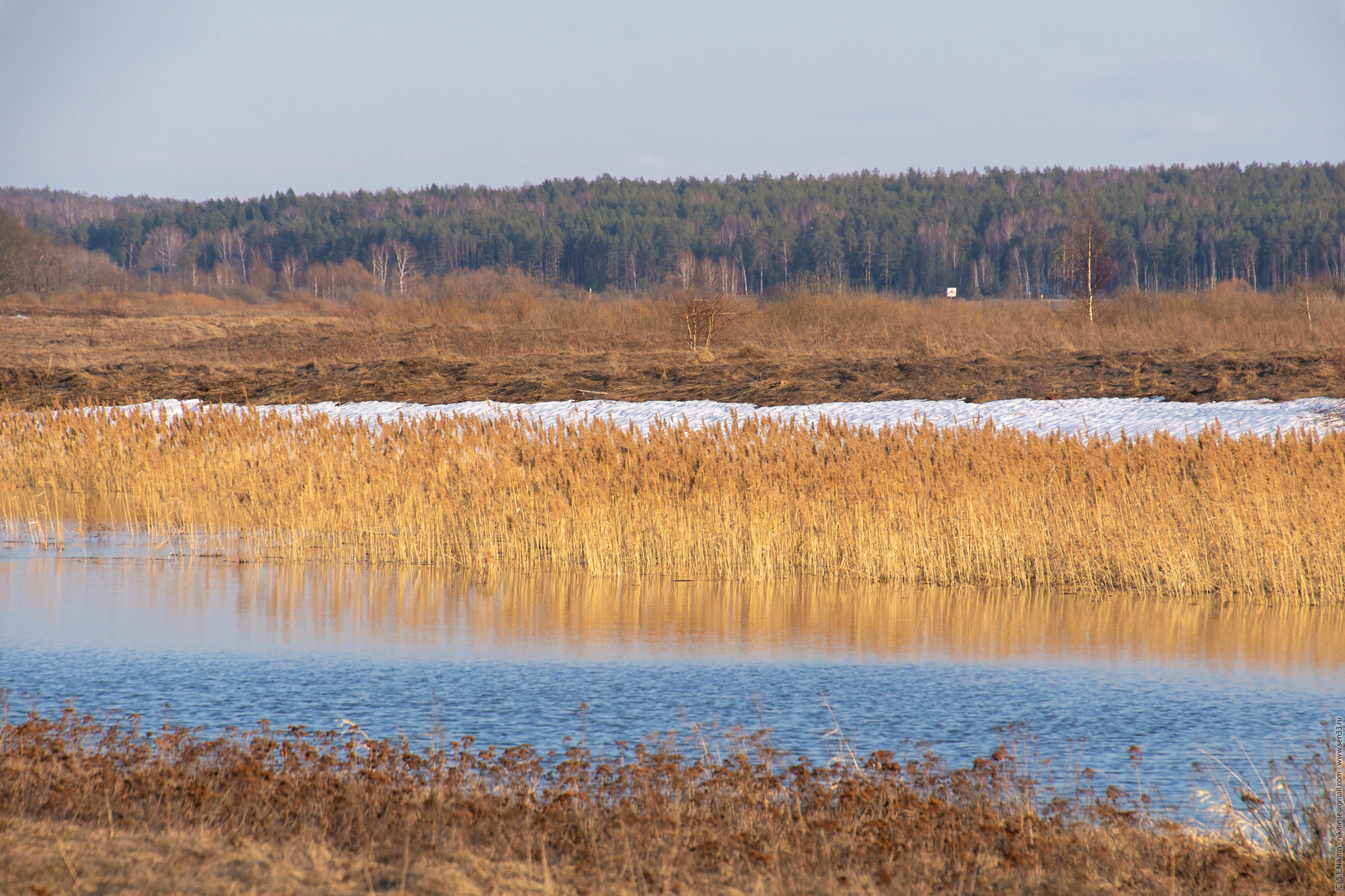 Spring in the floodplain - My, Spring, Nature, River, Landscape