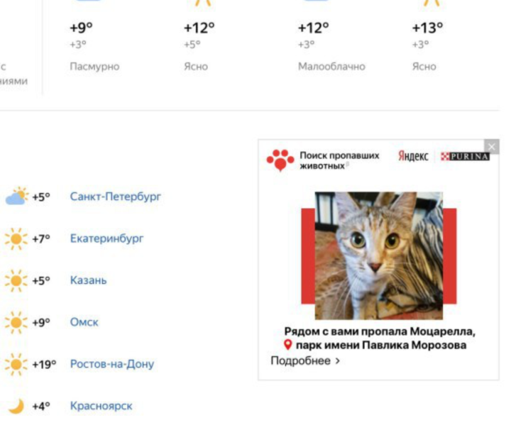 Yandex and pet food manufacturer Purina launched a free service for finding lost pets - Search for animals, Yandex., Pets, news, Dog, cat