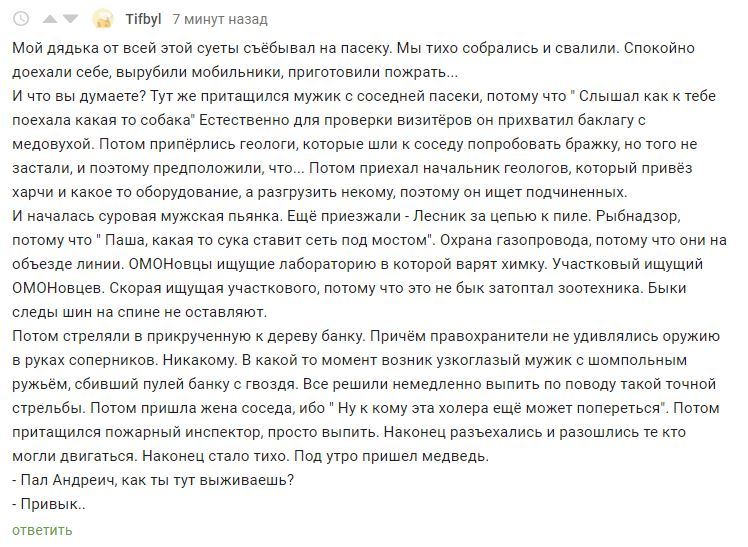 Атмосферненько про деревню - 2 - Деревня, Скриншот, Комментарии на Пикабу, Мат