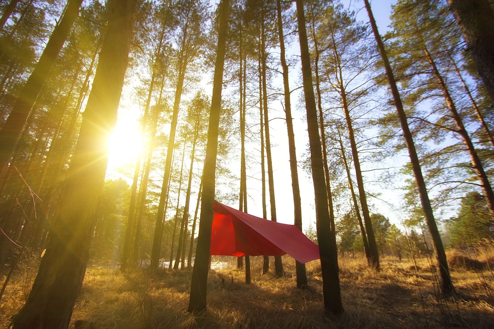 Как я выиграл гамак-палатку в интернете - Моё, Гамак, Hammock, Кемпинг, Конкурс, Везение, Санкт-Петербург, Туризм, Длиннопост