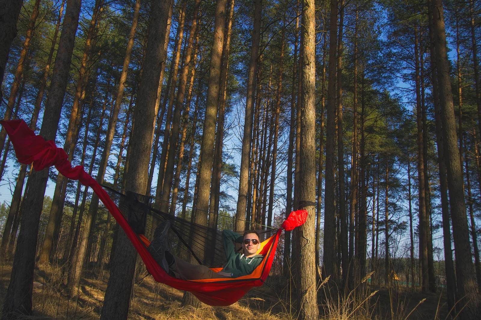 Как я выиграл гамак-палатку в интернете - Моё, Гамак, Hammock, Кемпинг, Конкурс, Везение, Санкт-Петербург, Туризм, Длиннопост