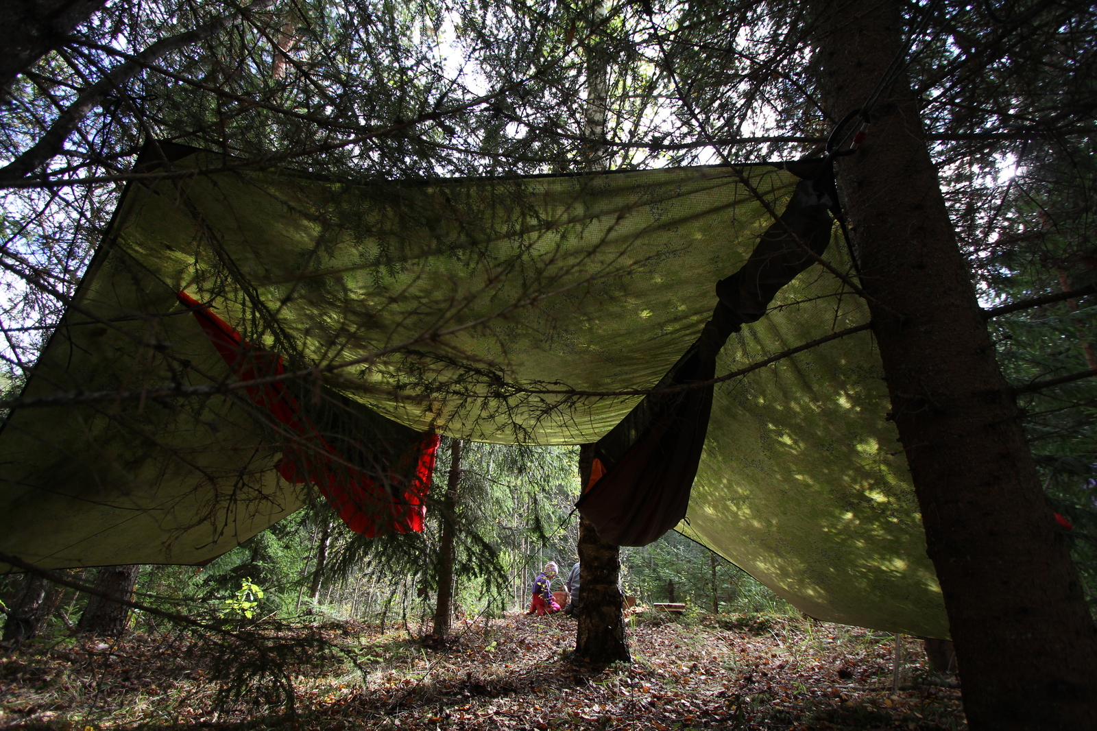 Как я выиграл гамак-палатку в интернете - Моё, Гамак, Hammock, Кемпинг, Конкурс, Везение, Санкт-Петербург, Туризм, Длиннопост