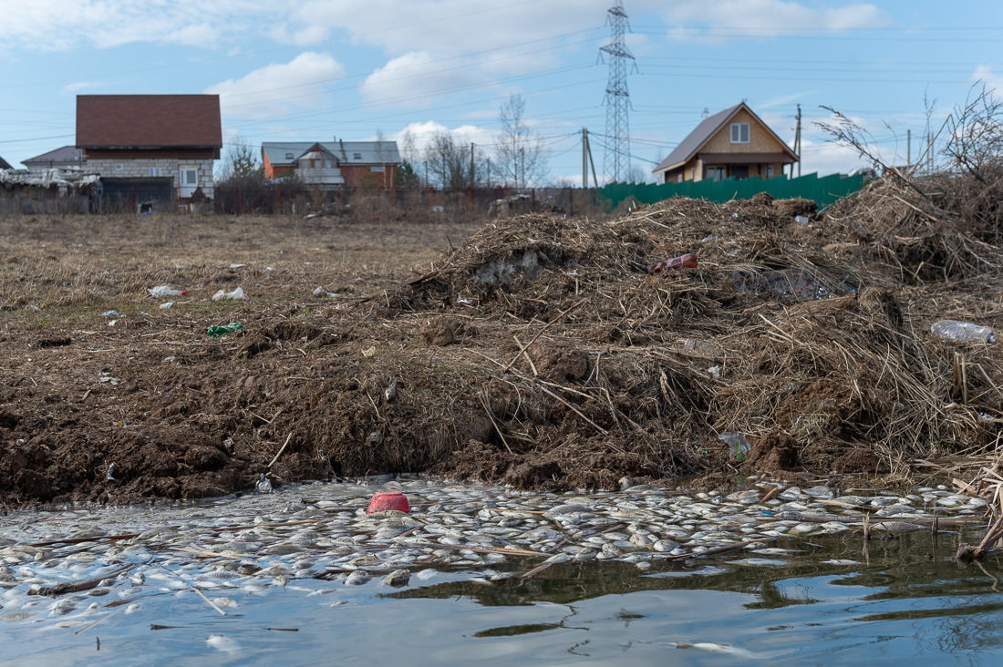Who is poisoning the Moscow region? - My, Garbage, Ecology, A fish, Подмосковье, Longpost, Video, Negative
