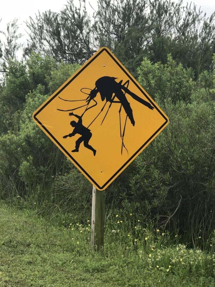 Watch out for the mosquito! - Mosquitoes, Signs, Beware