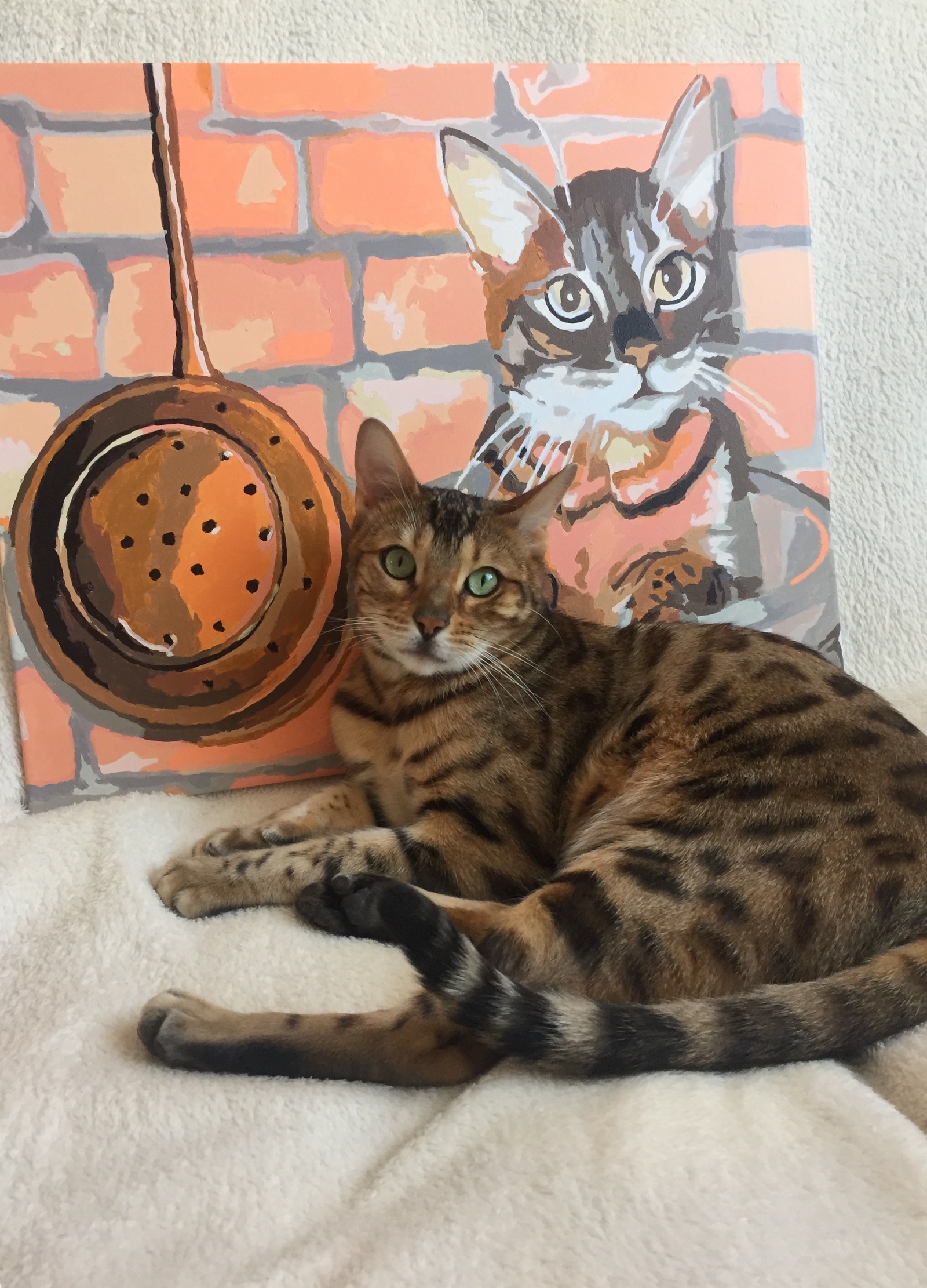 Dissatisfied customer - My, cat, Fat cats, Bengal cat, Catomafia, Milota