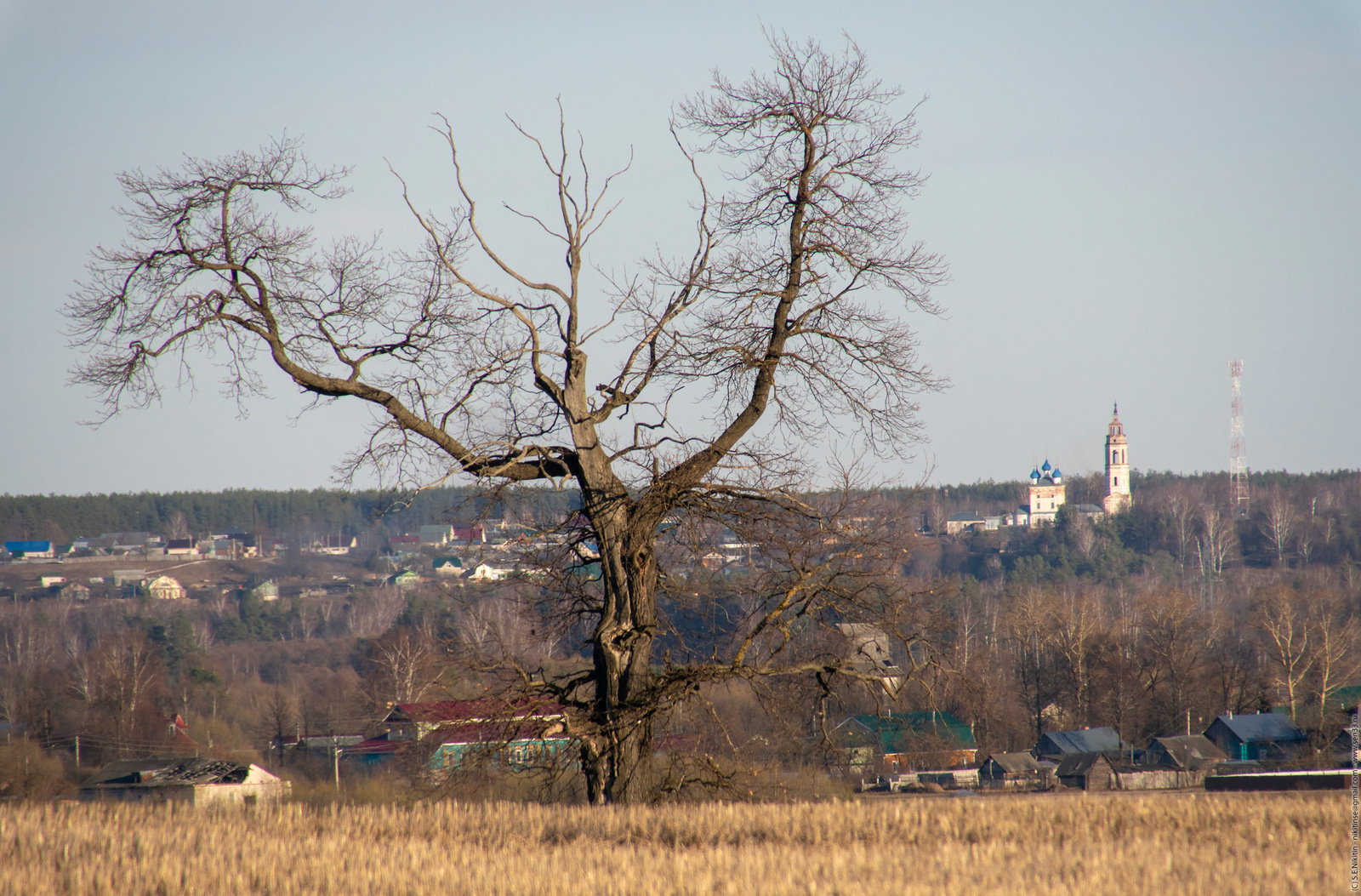 Cycling with a camera - My, , Tree, Church, Landscape, I want criticism