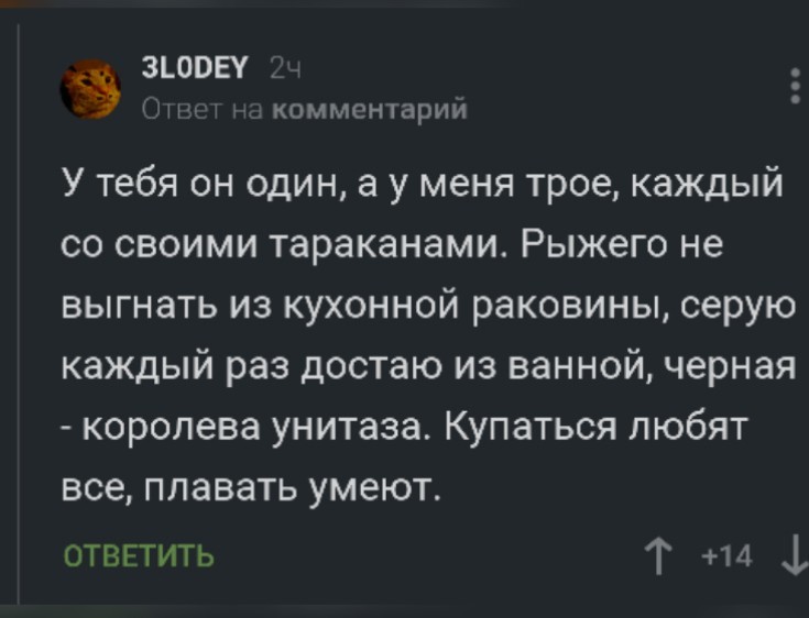 Когда киски любят воду - Кот, Вода, Скриншот, Комментарии на Пикабу, Длиннопост