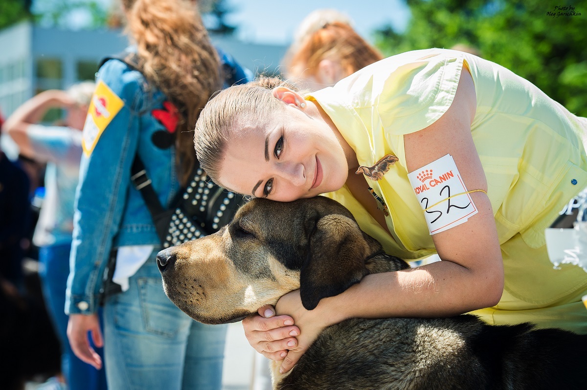 Another series of reportage pictures from dog shows that took place in the South of Russia in 2018, pleasant viewing))) - My, Dog, Dogs and people, Dog show, Animalistics, Longpost