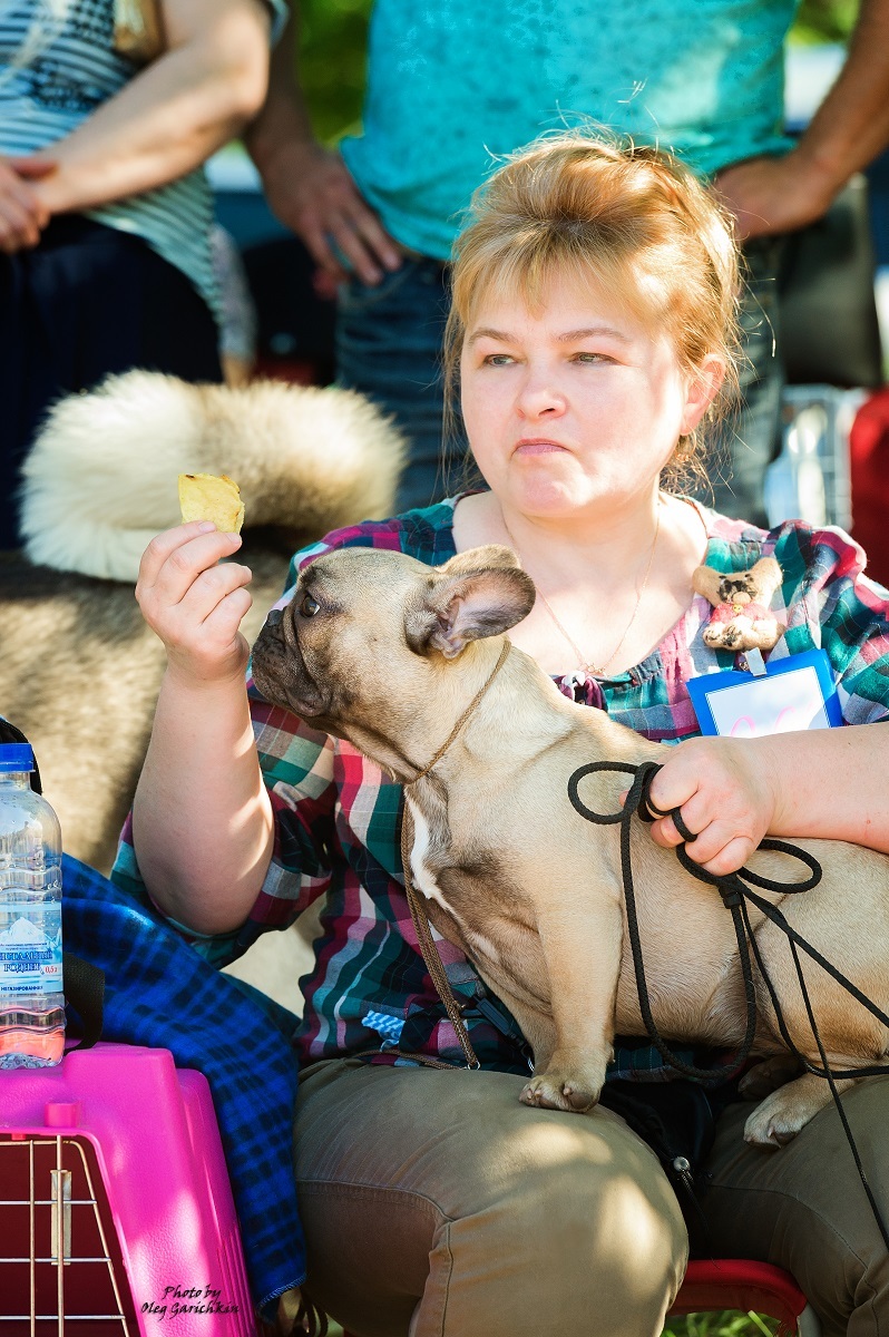 Another series of reportage pictures from dog shows that took place in the South of Russia in 2018, pleasant viewing))) - My, Dog, Dogs and people, Dog show, Animalistics, Longpost