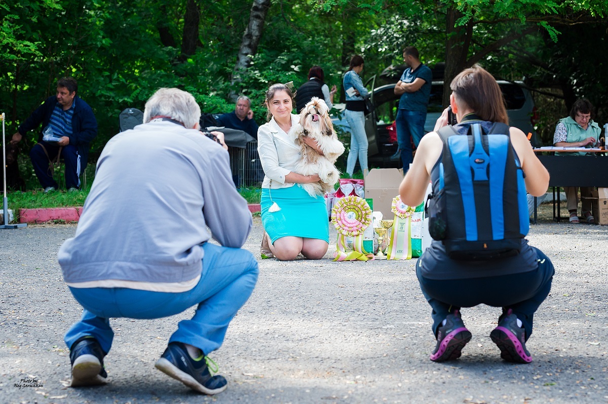 Another series of reportage pictures from dog shows that took place in the South of Russia in 2018, pleasant viewing))) - My, Dog, Dogs and people, Dog show, Animalistics, Longpost