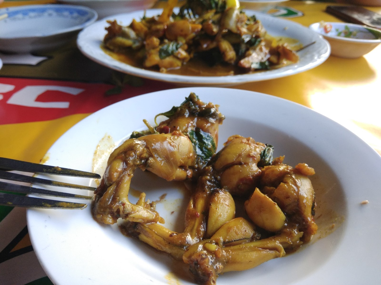 Just a borscht and a chicken)) - My, Food, Laos