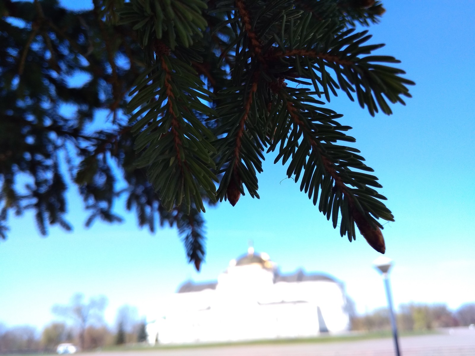 Brest, Belarus - The photo, Nature