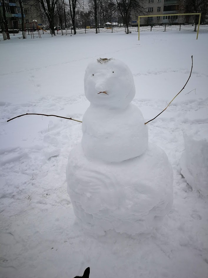 Winters to you in the feed - My, snowman, Nature, Winter, The photo