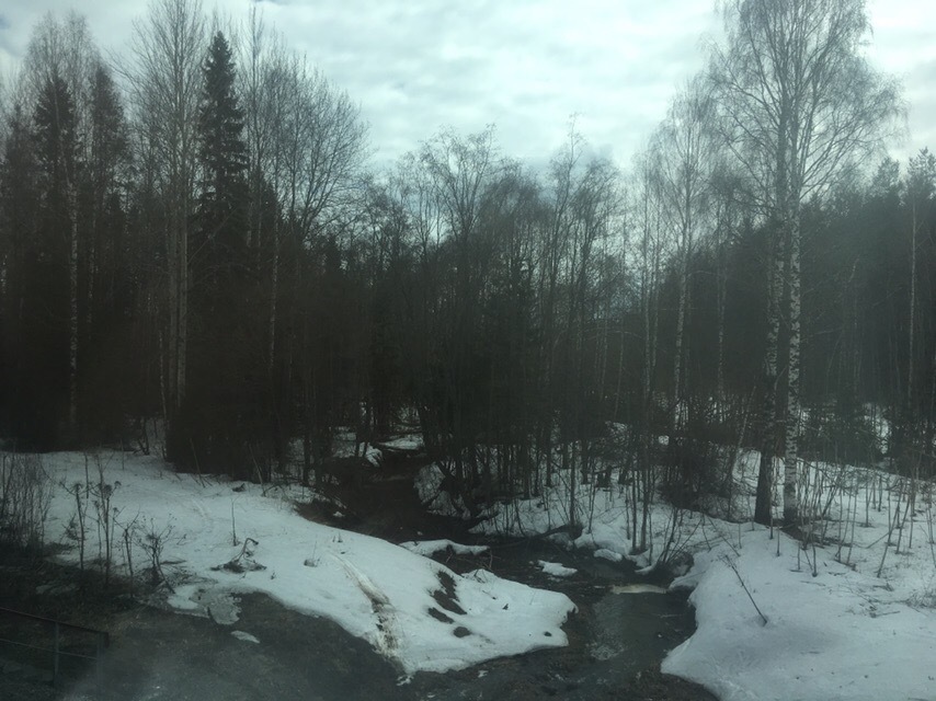 Winter has already ended a month and a half ago - My, Forest, River, Snow, Spring, Russia