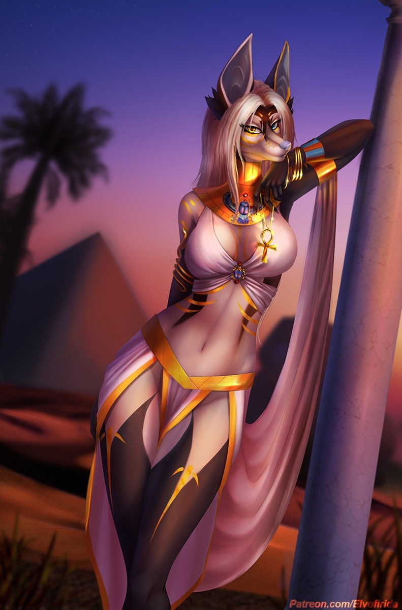 Egyptian night - Фурри, Furry Art, Furry Canine, Elvofirida, Furry Edge