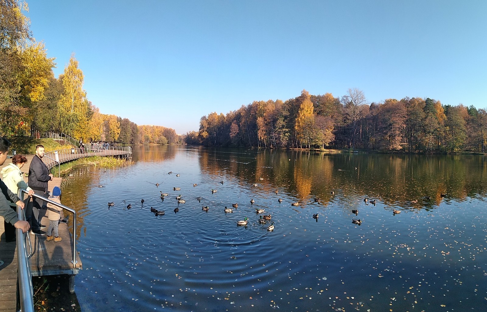 Moscow suburbs - My, Rest, Leaf fall, Peace, Xiaomi, Balashikha, Longpost, Nature, Calmness