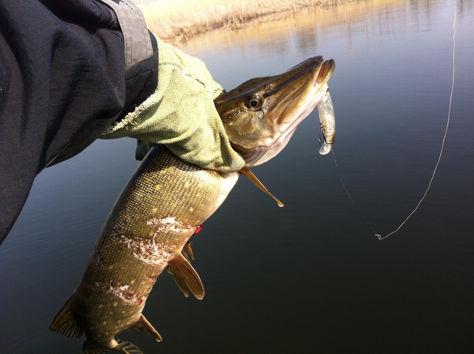 Opening of the water-motor-fishing season - My, community of anglers, Positive, Fishing, Longpost, Fishermen