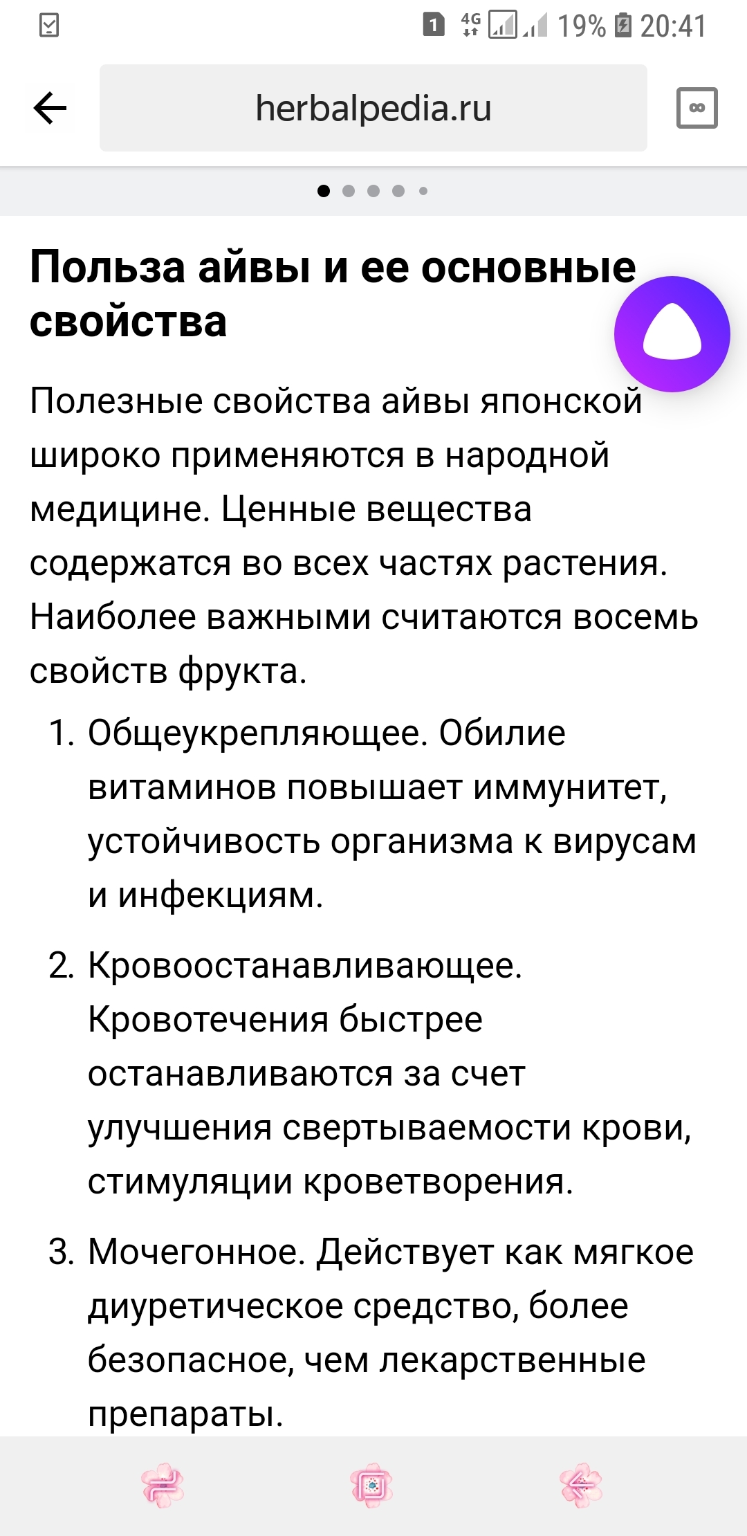 Японская айва - Моё, Японская айва, Кустарник, Весна, Оранжевые цветы, Длиннопост