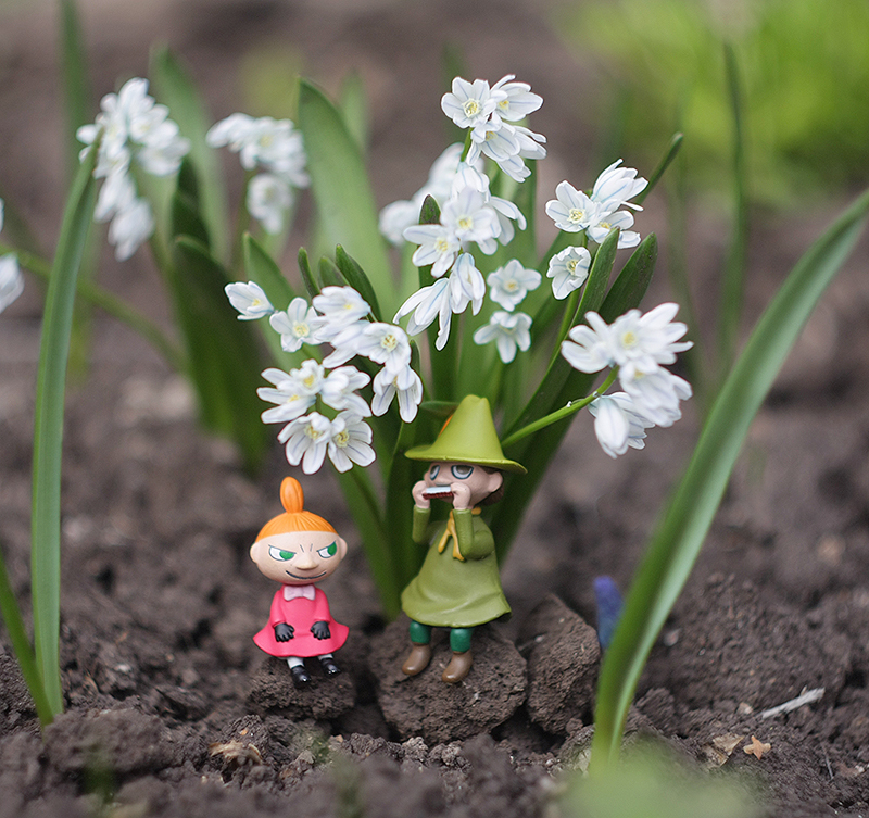 Spring Moomins. - My, Moomin Trolls, Morra Moomin Trolls, Snusmumrik, Little mu, Tove Jansson, , Mummy Troll, Longpost, Ancestors