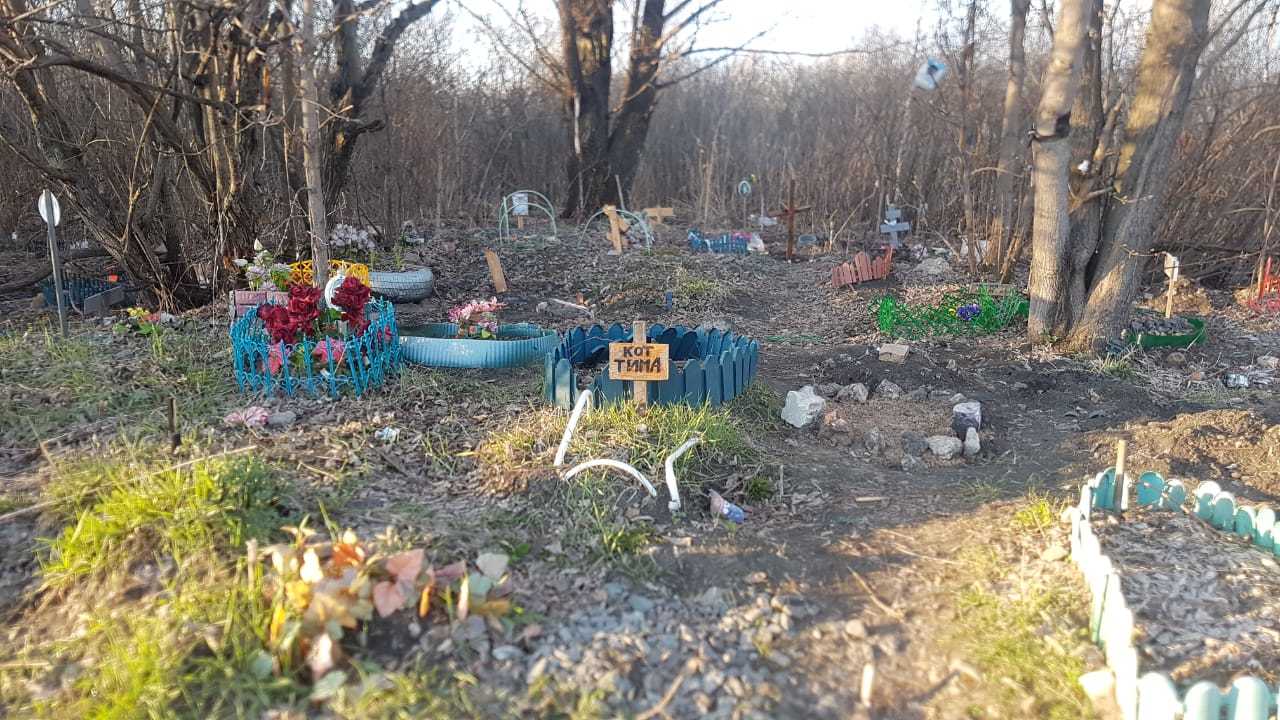 Кладбище домашних животных в Нижнем Новгороде - Моё, Кладбище домашних животных, Грусть, Нижний Новгород, Длиннопост, Кладбище домашних животных Стивена Кинга