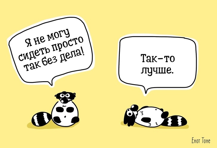 Пара из Петербурга рисует комиксы о ленивом еноте, который чем-то похож на каждого из нас - Адмеру, Картинка с текстом, Юмор, Длиннопост