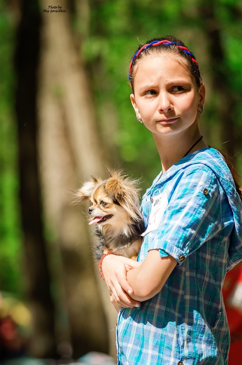 I continue to publish reportage pictures from dog shows held in the South of Russia in 2018, enjoy watching))) - My, Dog, Dogs and people, Dog show, Animalistics, Dog lovers, Dog days, dog's heart, Longpost