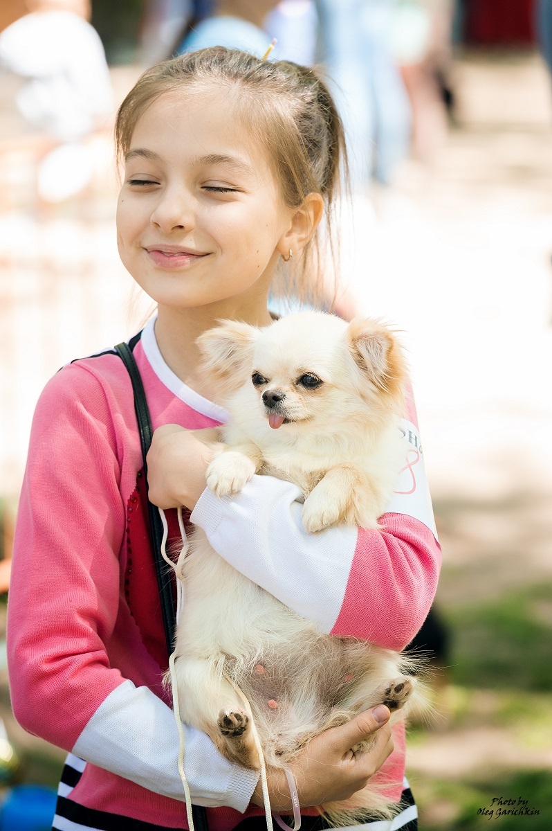 I continue to publish reportage pictures from dog shows held in the South of Russia in 2018, enjoy watching))) - My, Dog, Dogs and people, Dog show, Animalistics, Dog lovers, Dog days, dog's heart, Longpost