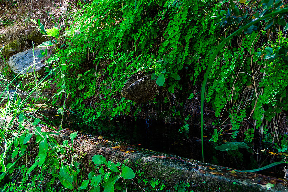 Elven path. - My, Travels, The photo, Tourism, Wild tourism, Hiking, The mountains, Longpost